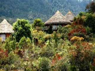 Baliem Valley Resort Wamena Extérieur photo